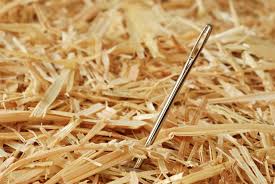 needle in hay 3