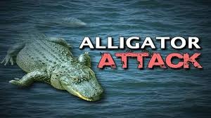 Alligator Attack