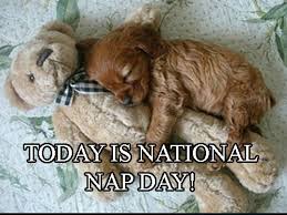 National Nap Day 3