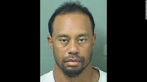 Tiger Woods DWI