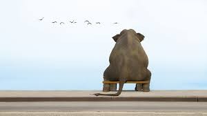 sad elephant 1