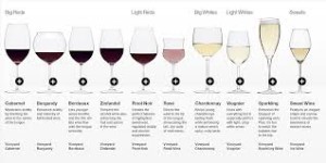 Different types of Wine 2
