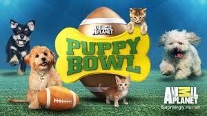 Puppy Bowl 1