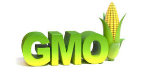GMO's